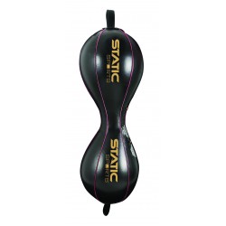 Training Speed Bags